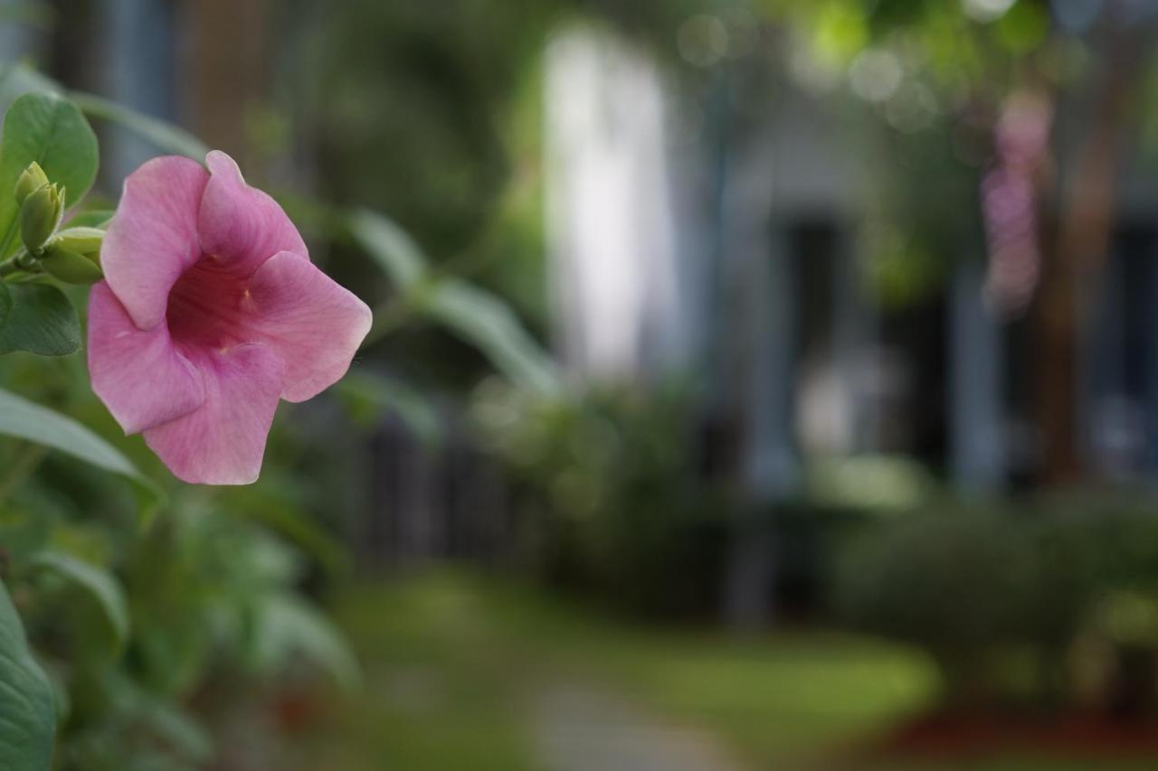 Phu Quoc Hotel Екстериор снимка